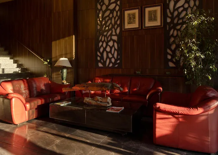 Classes Airport Hotel Stambuł